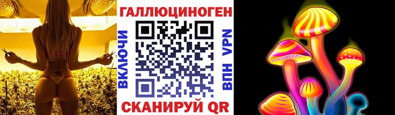 Купить  Дегтярск  Галлюциногенные грибы Cubensis 